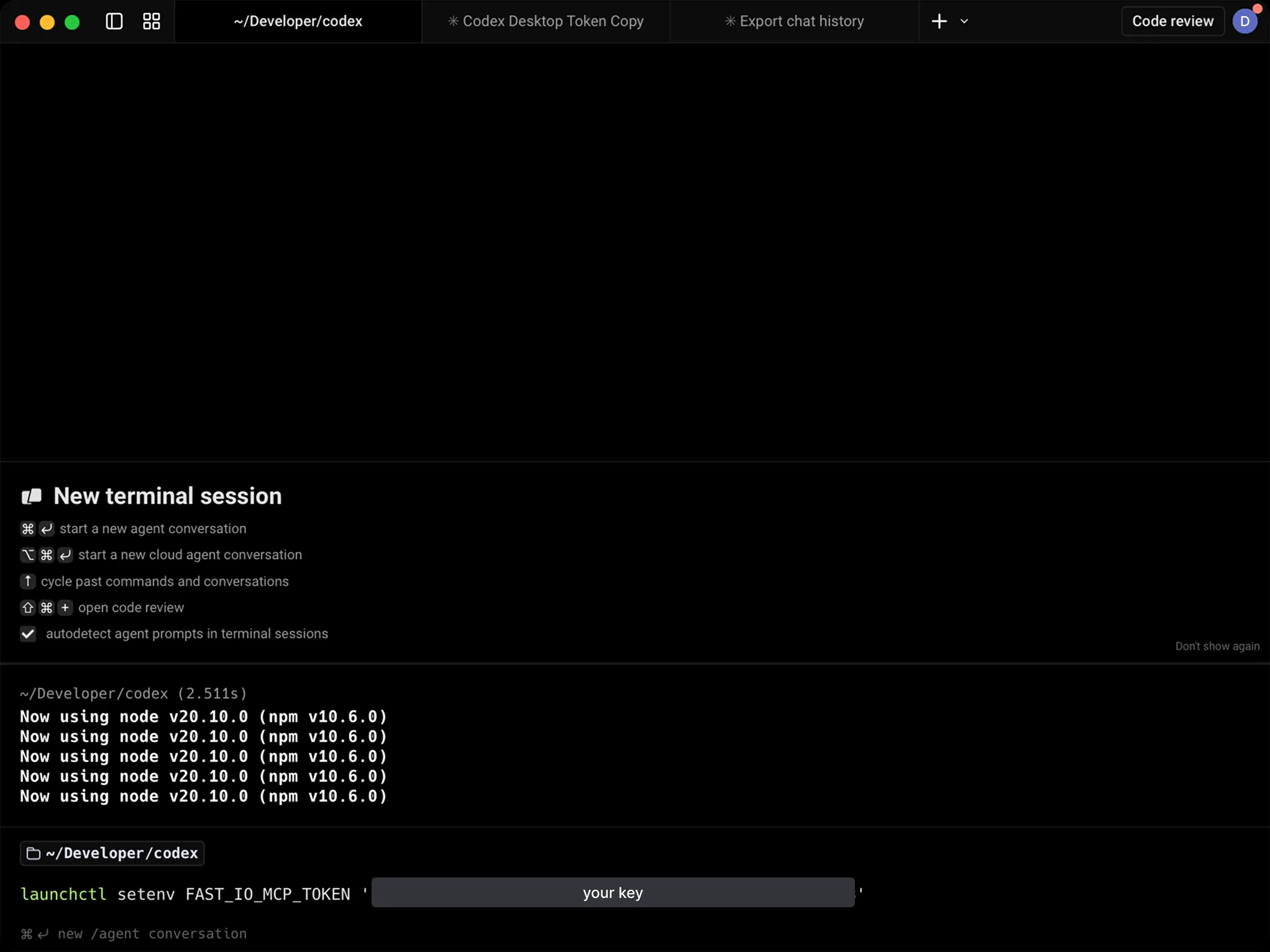 Terminal running launchctl setenv command
