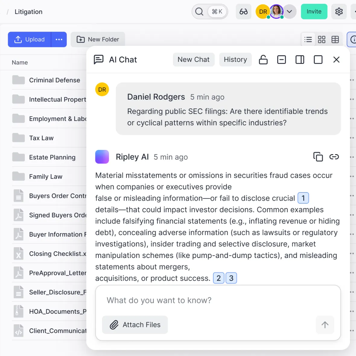 Ripley insights chat