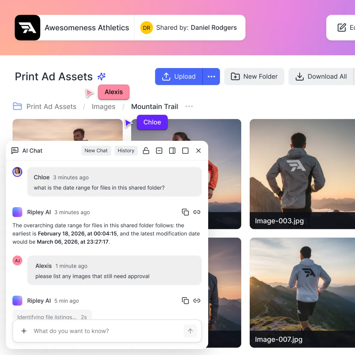 Ripley shared folder chat