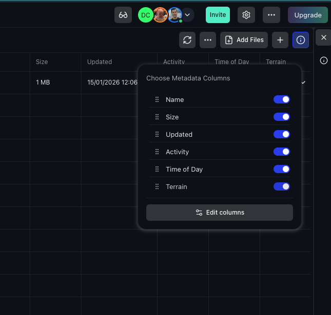 Column chooser with toggles for each metadata field