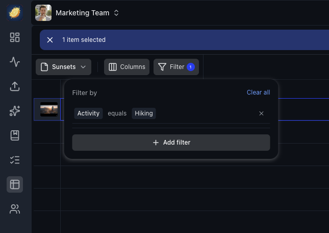 Active filter showing results for a specific field value